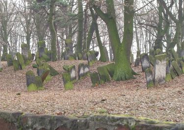Blick in jüdischen Friedhof; Quelle: Zorro 2212, wikimedia, CC BY 3.0 